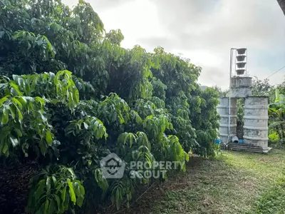 Lush garden with dense greenery and unique outdoor structure under a cloudy sky.
