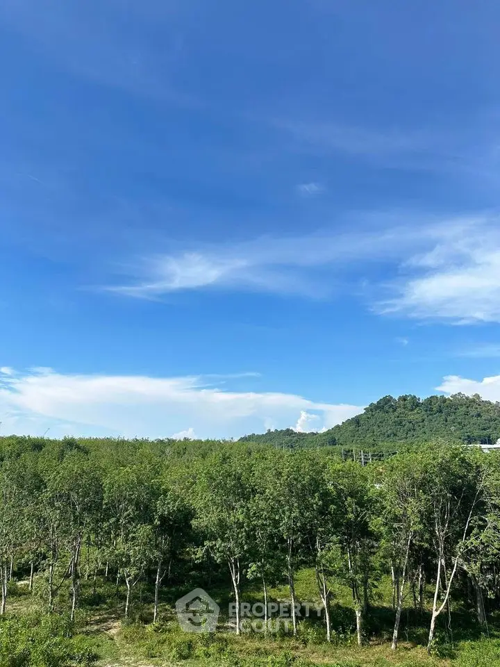 Scenic view of lush green landscape with clear blue sky and distant hills.