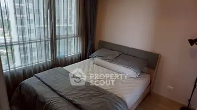 image_rental-29750349