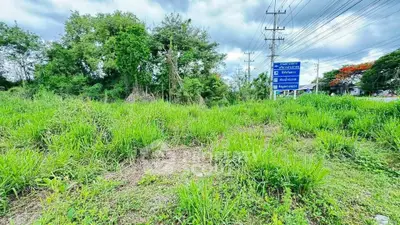 Prime vacant land with lush greenery and road access, ideal for development opportunities.