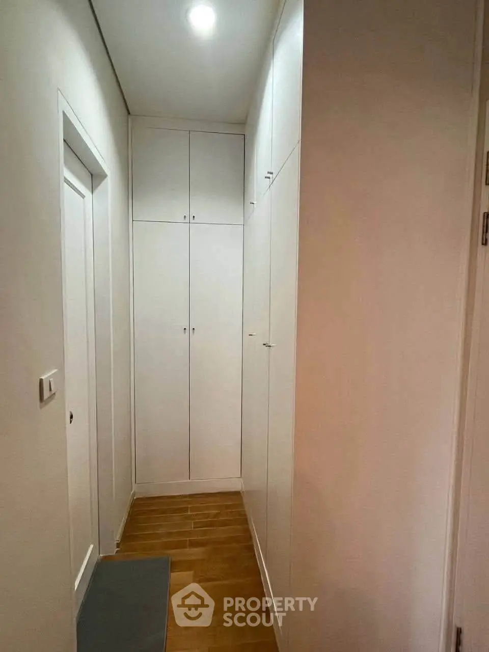 Modern hallway with built-in storage cabinets and wooden flooring