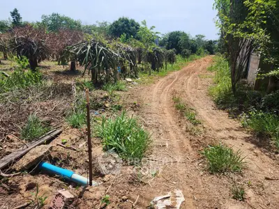 Expansive rural land with dirt road and lush greenery, ideal for agricultural development.