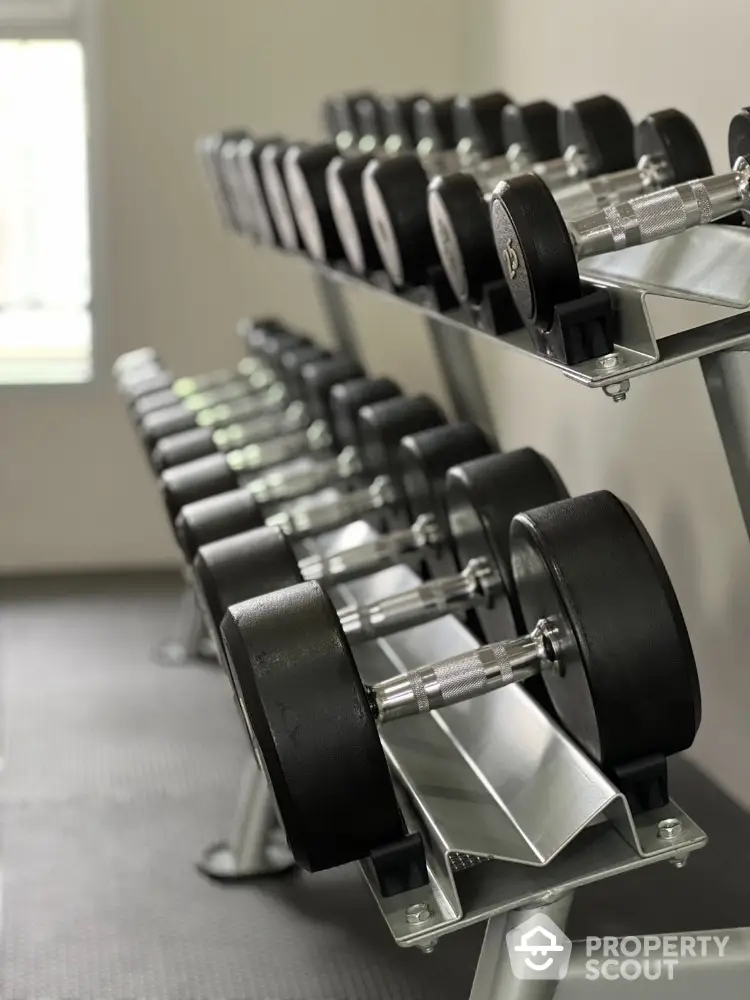 Modern gym with sleek dumbbell rack in luxury apartment complex