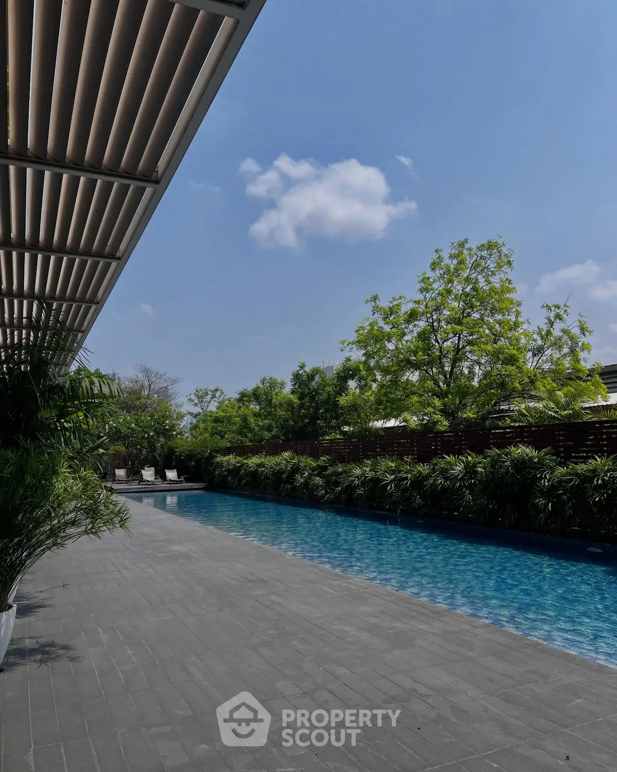 Luxurious outdoor pool area with lush greenery and clear blue sky, perfect for relaxation and leisure.