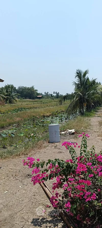 Scenic rural landscape with lush greenery and vibrant flowers, ideal for serene living or agricultural development.