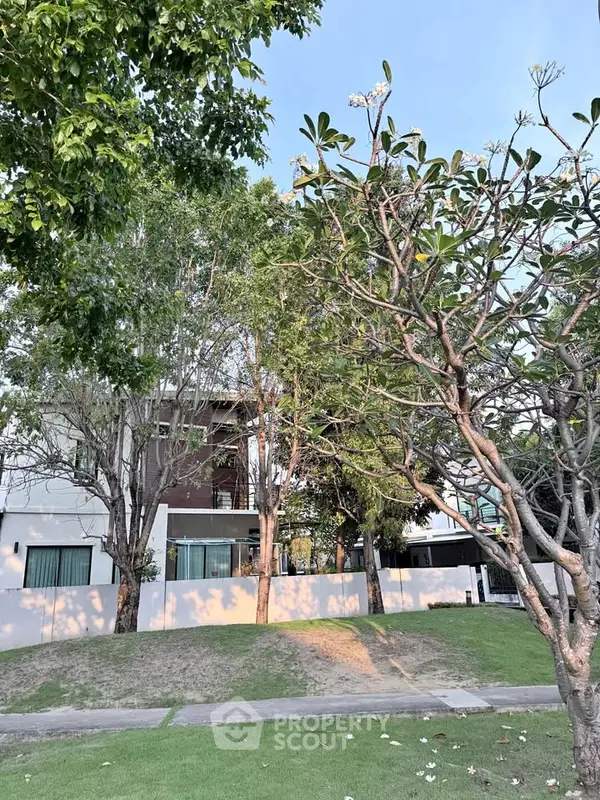 image_rental-27687980