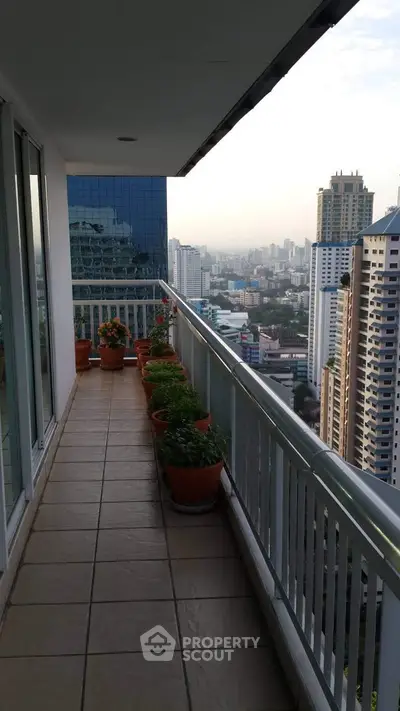 Stunning high-rise balcony with panoramic city views and elegant potted plants.