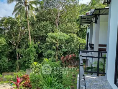 Tropical garden view from modern balcony with lush greenery and palm trees.