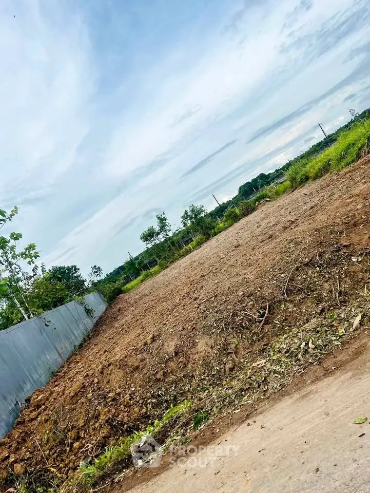 Expansive vacant land plot with lush greenery, perfect for development opportunities.
