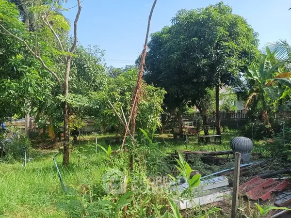 image_rental-29133909