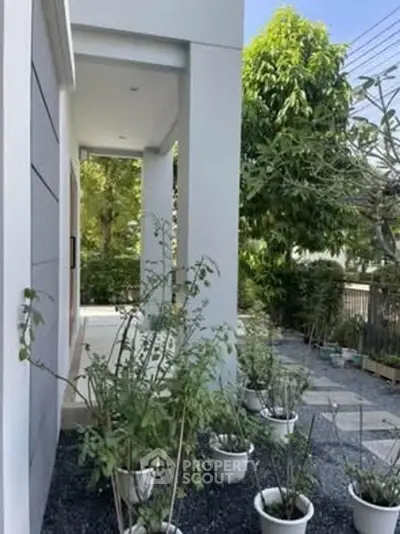 Modern home exterior with lush garden and potted plants
