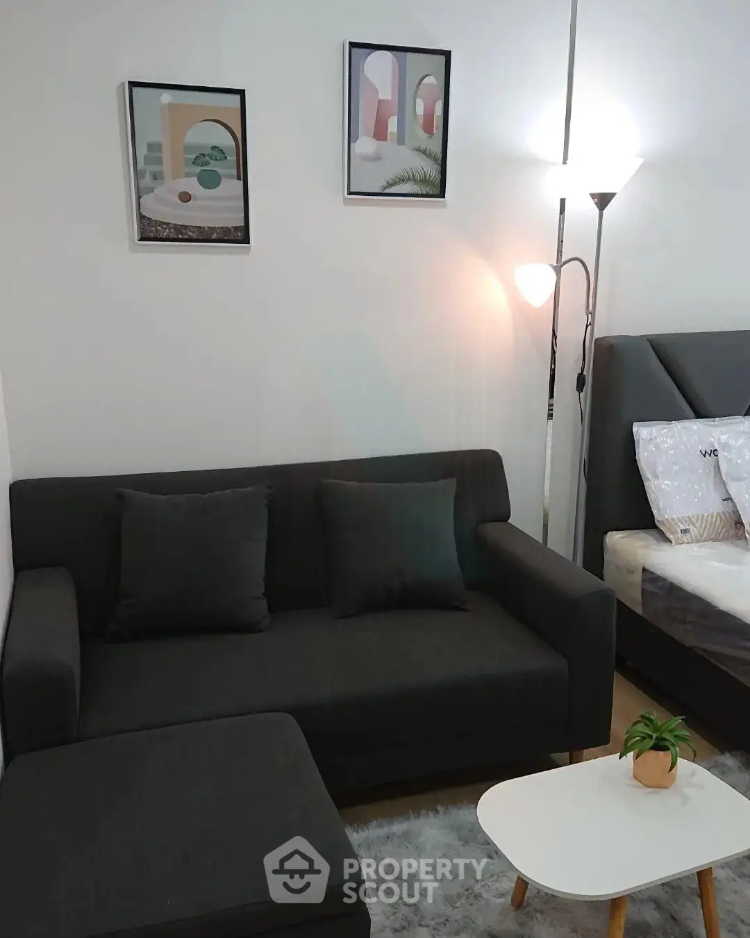 Modern living room with stylish sofa and cozy decor