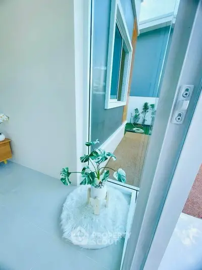 Stylish modern interior with large window and cozy plant decor