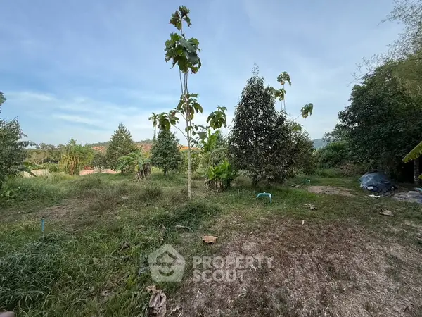 image_rental-27317527