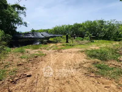 Expansive land plot with lush greenery, ideal for development opportunities.