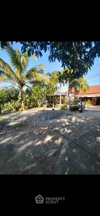 Charming tropical garden with lush greenery and palm trees in a serene residential setting.