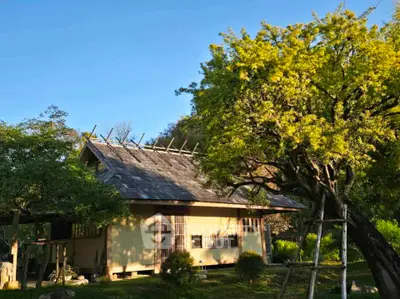 Charming traditional house with lush garden and mature trees, perfect for serene living.