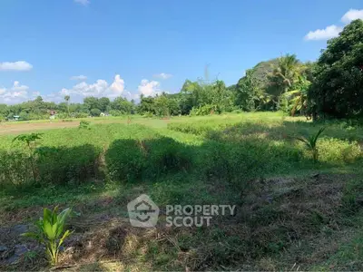 Expansive green land with lush vegetation under a clear blue sky, ideal for development or agriculture.