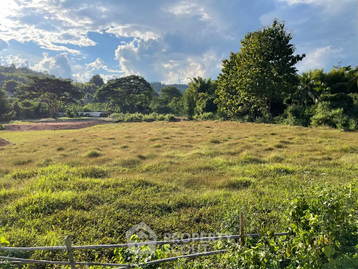 Expansive green land with lush trees and clear blue sky, perfect for development opportunities.