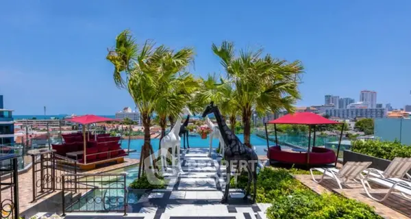 image_rental-28710803