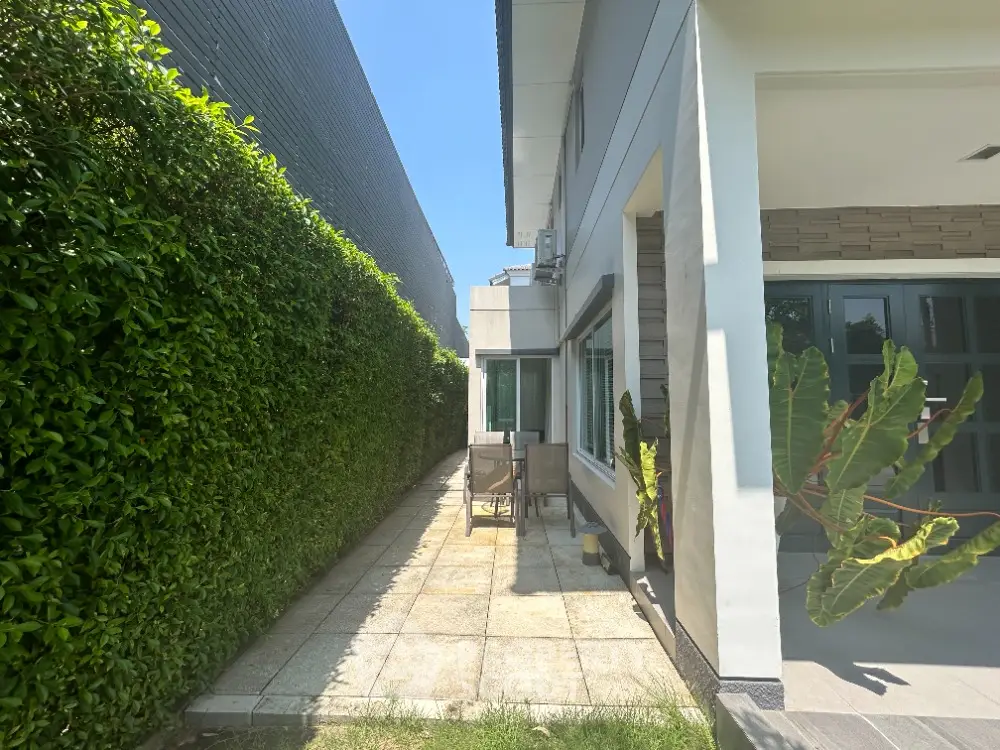Sunlit private garden space with lush green hedge, offering a tranquil outdoor retreat adjacent to a modern home.
