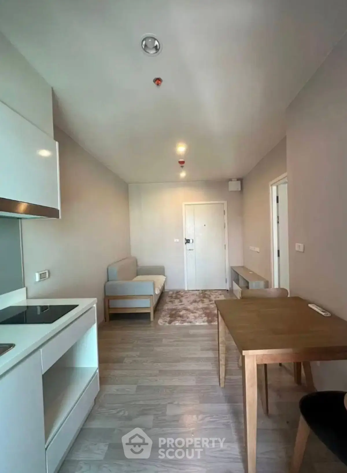 Modern apartment interior with open kitchen and cozy living area