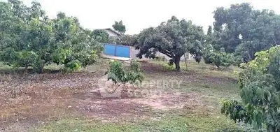 Spacious rural property with lush greenery and trees, ideal for agriculture or serene living.