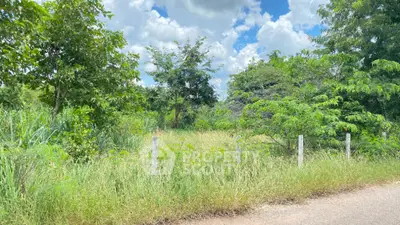 Spacious plot of land with lush greenery and clear skies, perfect for development opportunities.