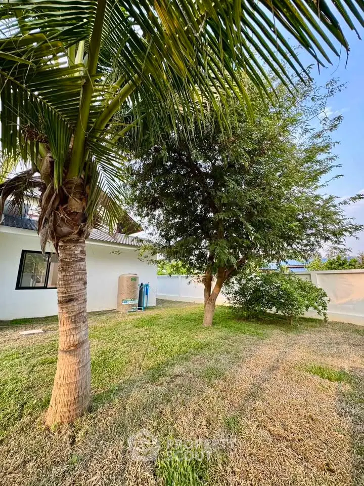 Spacious backyard with lush greenery and palm trees, perfect for outdoor relaxation and entertainment.
