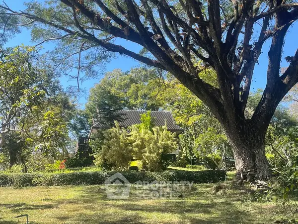 image_rental-31578196