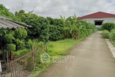 Spacious property with lush greenery and a paved driveway leading to a large building.