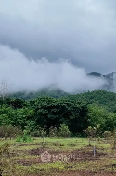 Screenshot 2568-12-15 at 11.22.44.jpg