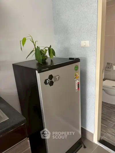 Compact kitchen corner with mini fridge and plant decor