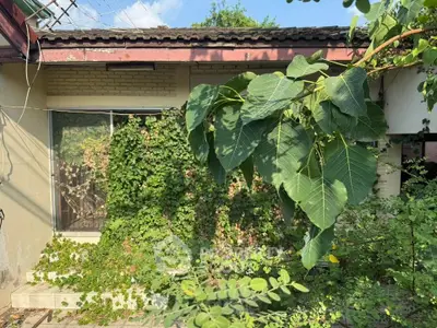 Charming overgrown garden with lush greenery and rustic exterior, perfect for nature lovers seeking tranquility.
