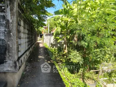 Charming narrow pathway surrounded by lush greenery and rustic walls, perfect for serene walks.