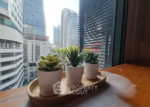 Modern city view from office with stylish potted plants on wooden table