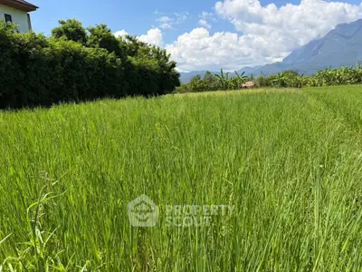 Expansive green field with mountain views, perfect for agricultural development or serene countryside living.