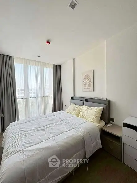 image_rental-29798148