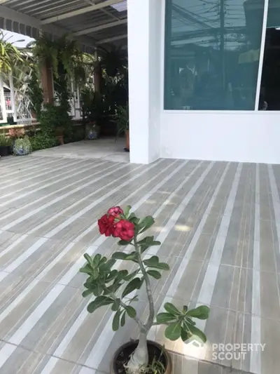 Spacious tiled patio with potted plants and modern glass window