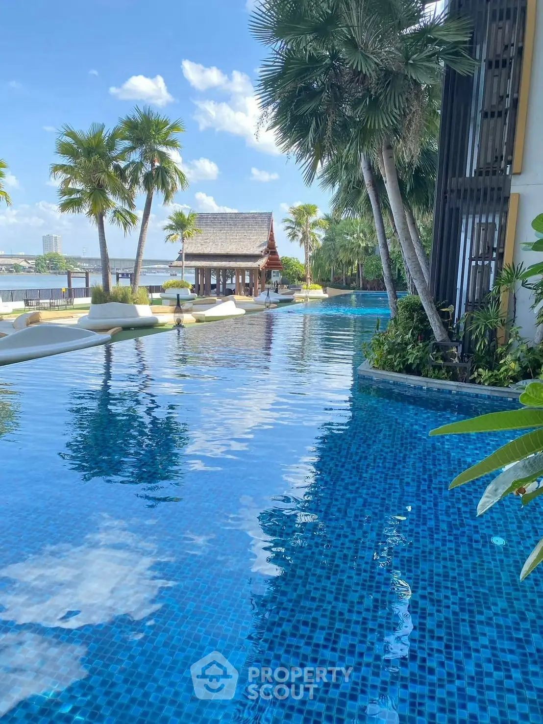Luxurious poolside view with palm trees and serene water reflections