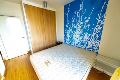  1 Bedroom Condo at The Iris-2