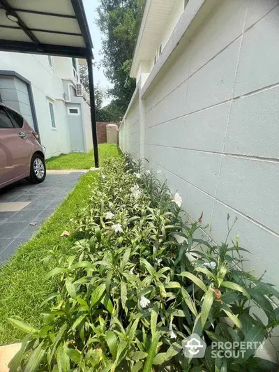 Charming residential garden with lush greenery beside modern home and carport.