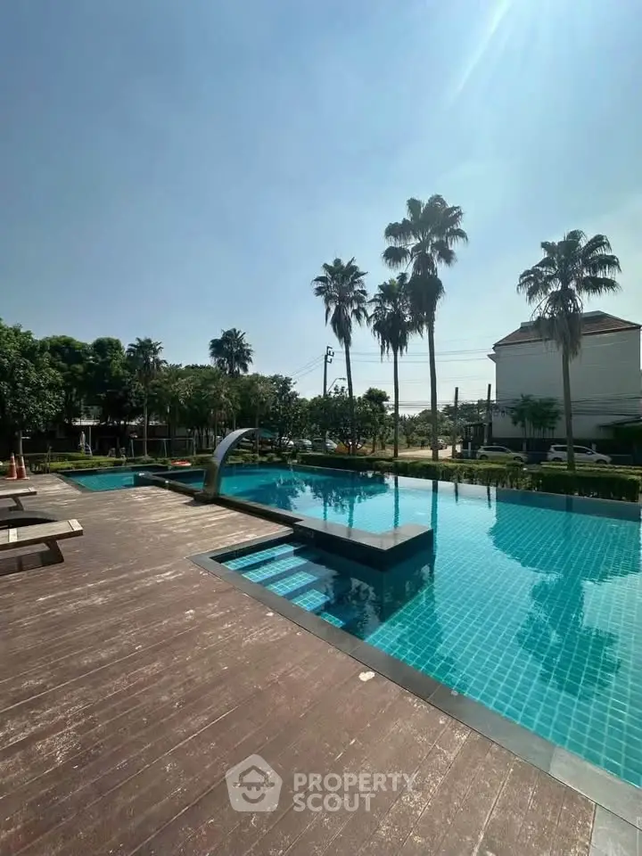 Luxurious outdoor pool area with palm trees and wooden deck, perfect for relaxation and leisure.