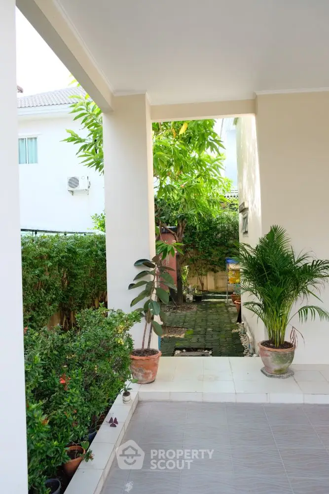 Charming garden view from a cozy patio with lush greenery and potted plants.