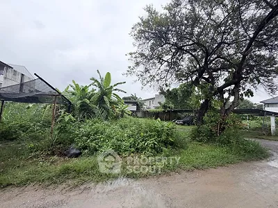 Spacious plot of land with lush greenery and mature trees, ideal for development opportunities.