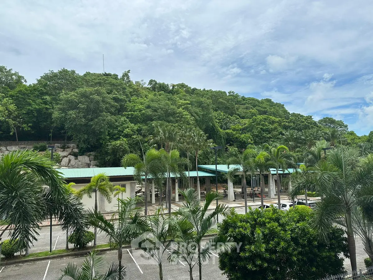 Scenic view of lush greenery and parking area with tropical palm trees, ideal for nature lovers.