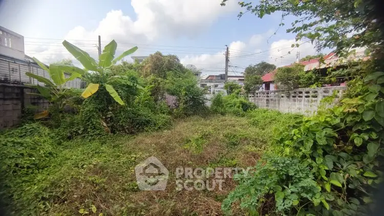 Spacious residential plot with lush greenery and potential for development