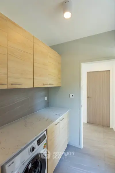 Modern kitchen with wooden cabinets and built-in washing machine