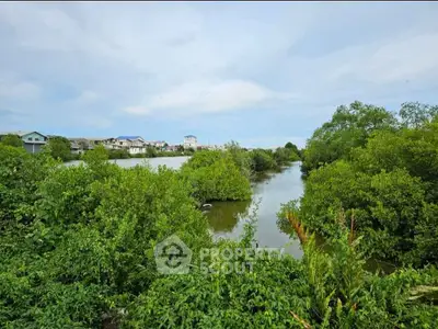 Scenic view of lush greenery and waterway near residential area, perfect for nature lovers.