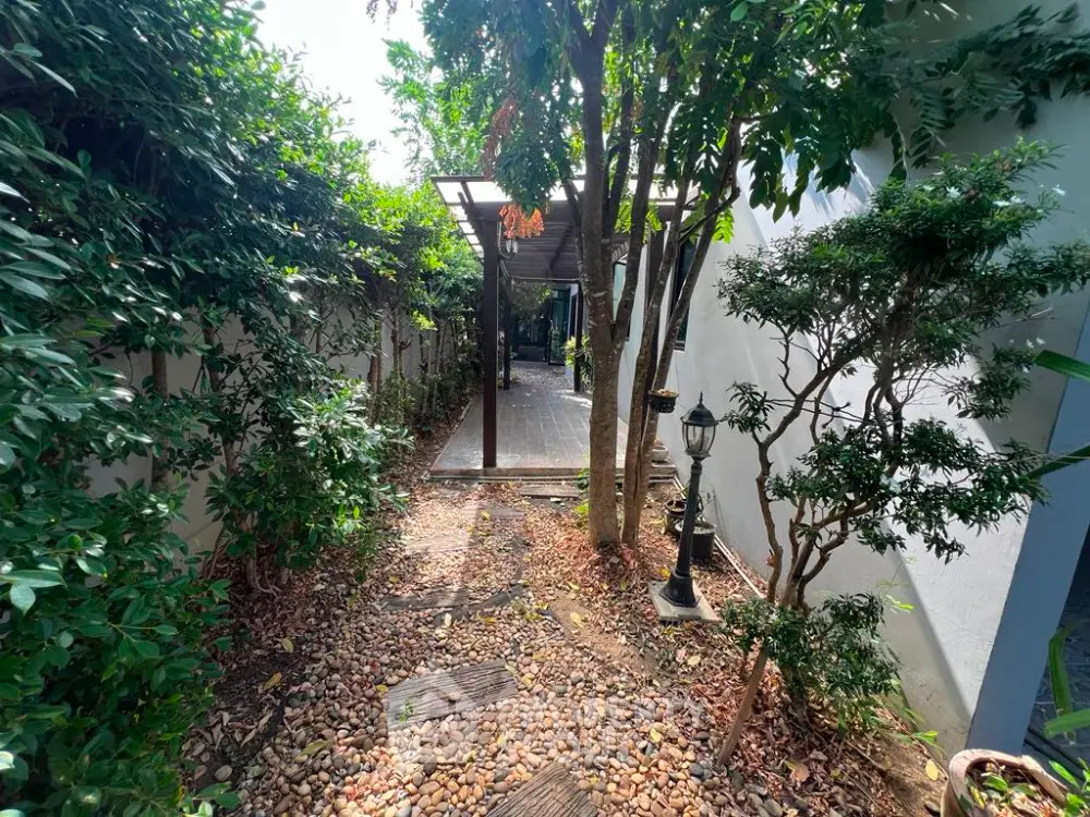 Charming garden pathway with lush greenery and wooden pergola